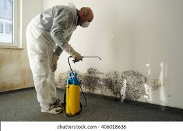 Best Mold Odor Removal Services  in North Miami, FL